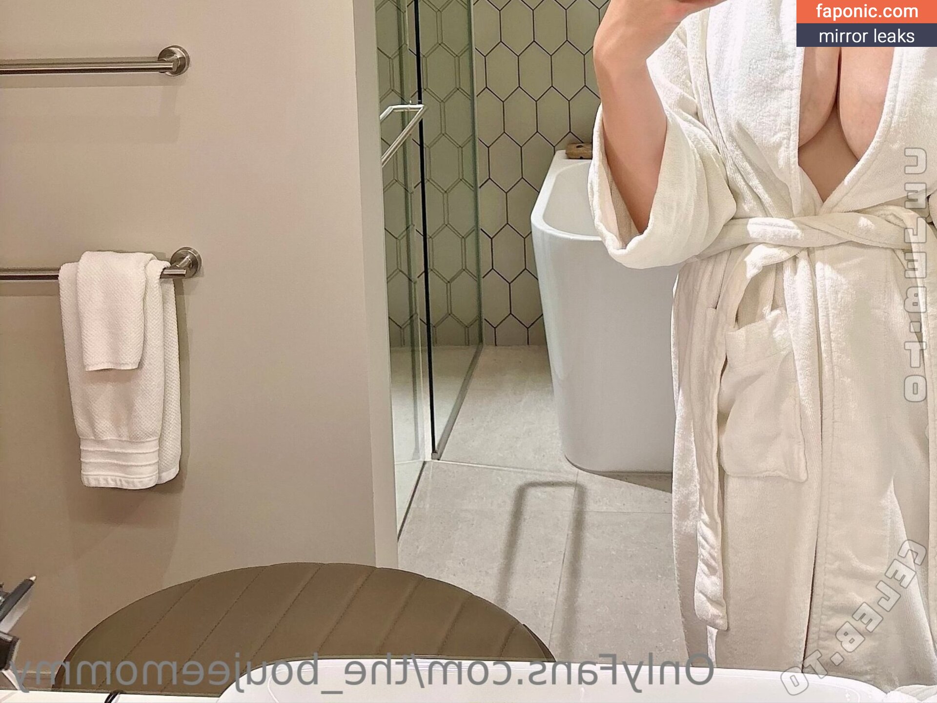 realboujeemom, the_boujeemommy, thegeminifairy Nude Leaks OnlyFans Photo #32